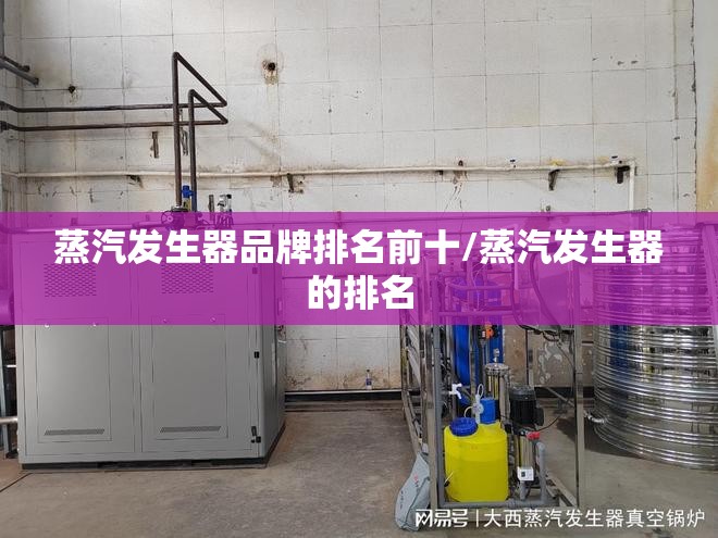 蒸汽发生器品牌排名前十/蒸汽发生器的排名
