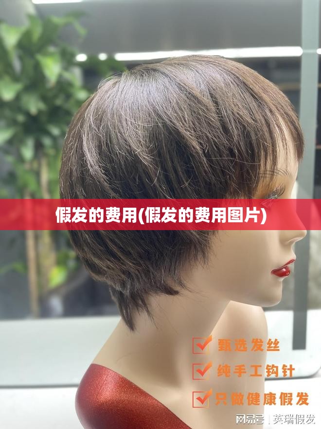 假发的费用(假发的费用图片) 假发的费用(假发的费用图片)