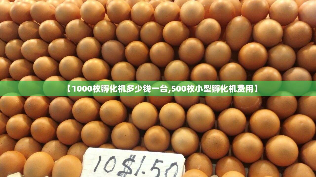 【1000枚孵化机多少钱一台,500枚小型孵化机费用】