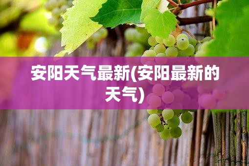 安阳天气最新(安阳最新的天气)