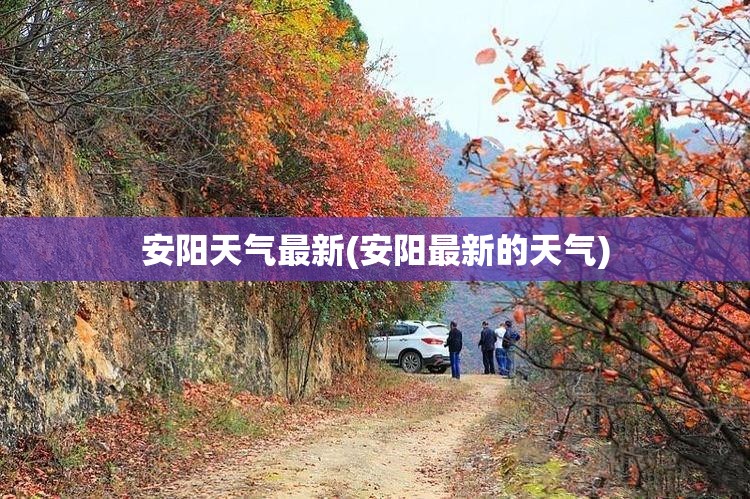 安阳天气最新(安阳最新的天气)