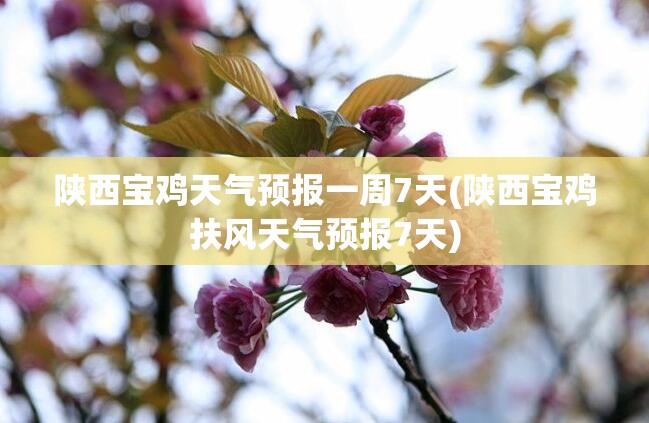 陕西宝鸡天气预报一周7天(陕西宝鸡扶风天气预报7天)