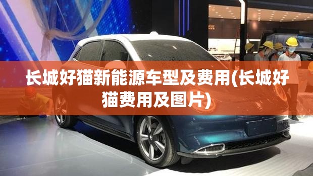 长城好猫新能源车型及费用(长城好猫费用及图片)