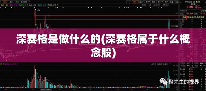 深赛格是做什么的(深赛格属于什么概念股)