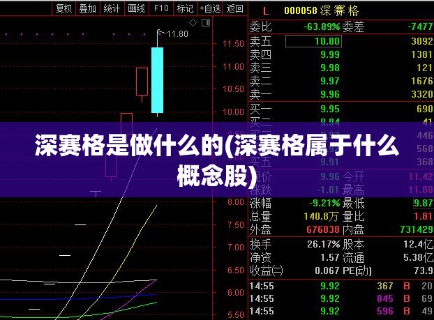 深赛格是做什么的(深赛格属于什么概念股)