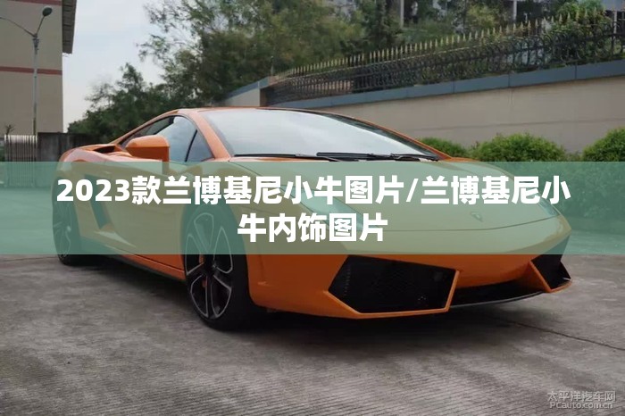 2023款兰博基尼小牛图片/兰博基尼小牛内饰图片