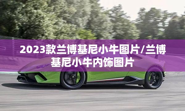 2023款兰博基尼小牛图片/兰博基尼小牛内饰图片