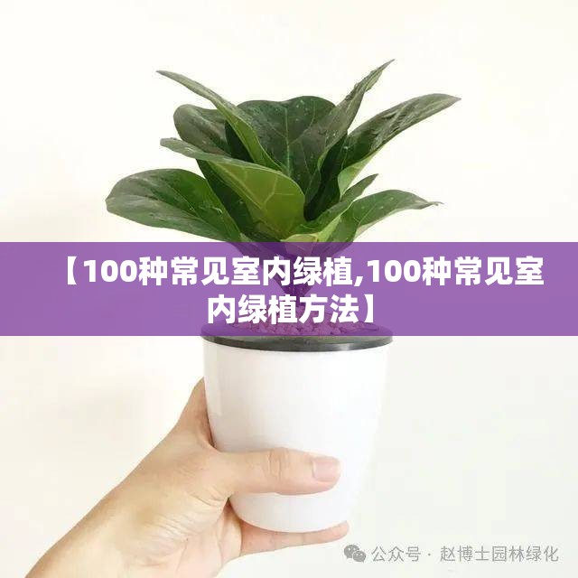 【100种常见室内绿植,100种常见室内绿植方法】