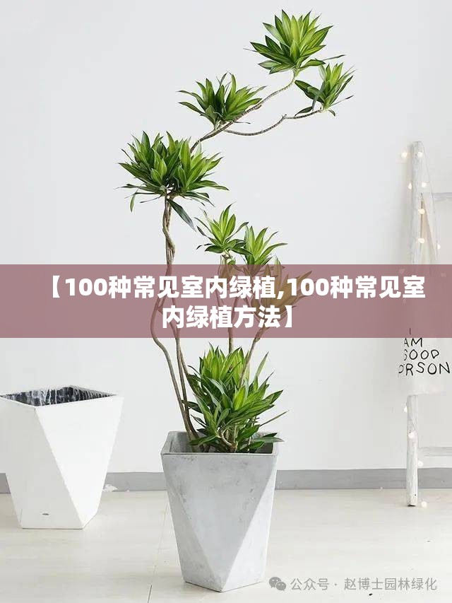 【100种常见室内绿植,100种常见室内绿植方法】