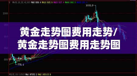 黄金走势图费用走势/黄金走势图费用走势图世界