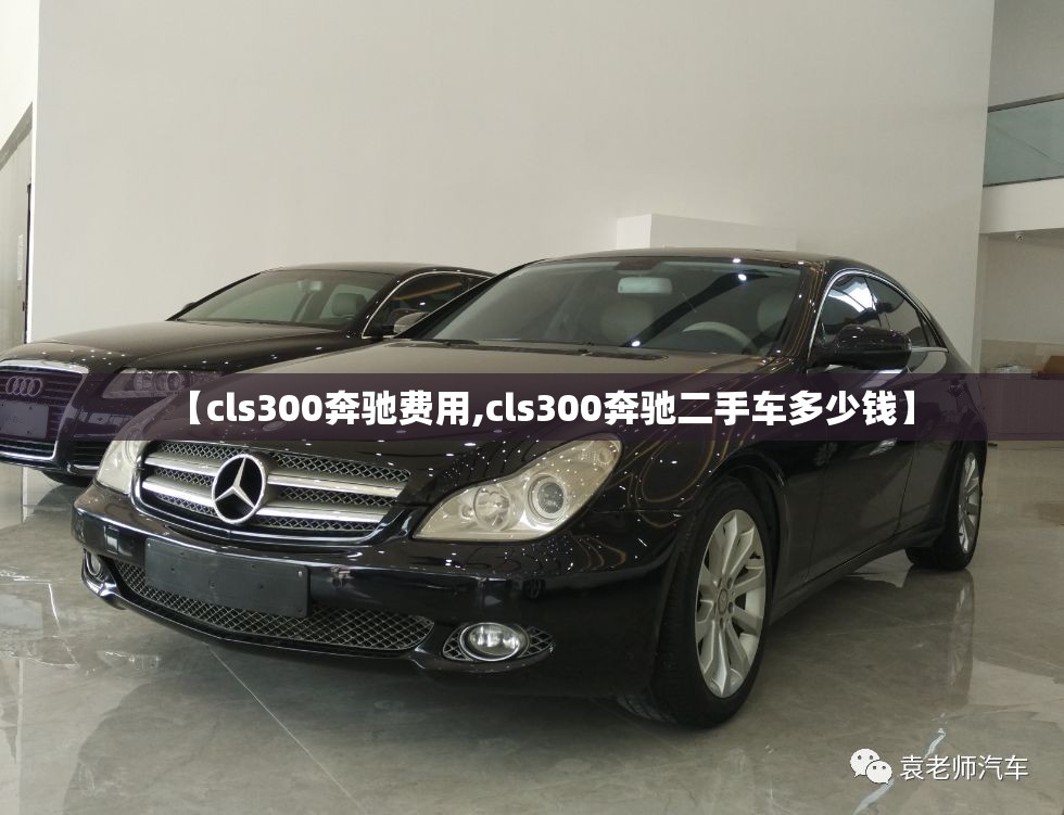 【cls300奔驰费用,cls300奔驰二手车多少钱】