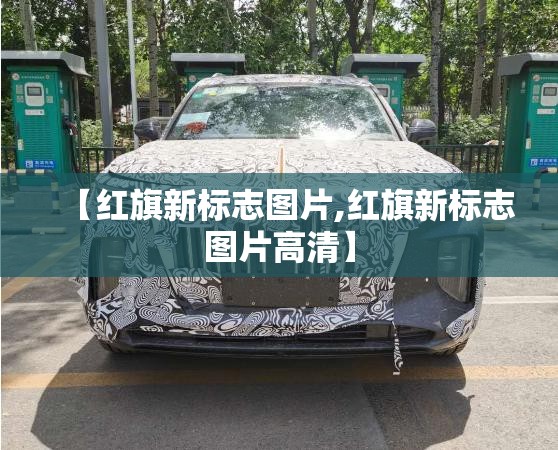 【红旗新标志图片,红旗新标志图片高清】