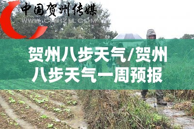 贺州八步天气/贺州八步天气一周预报