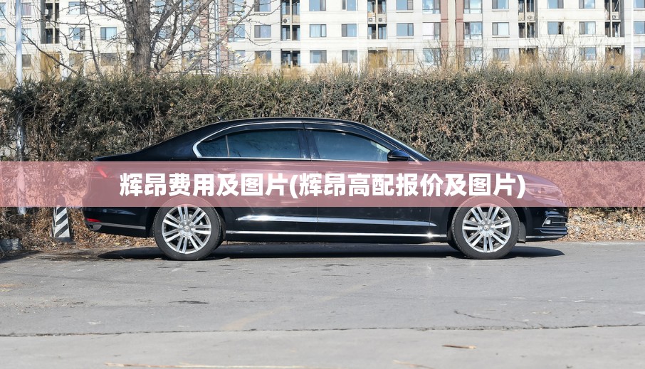 辉昂费用及图片(辉昂高配报价及图片)