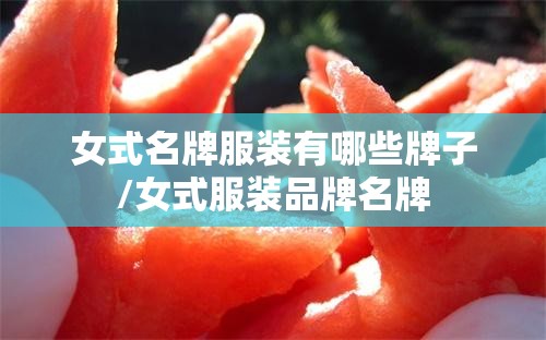 女式名牌服装有哪些牌子/女式服装品牌名牌