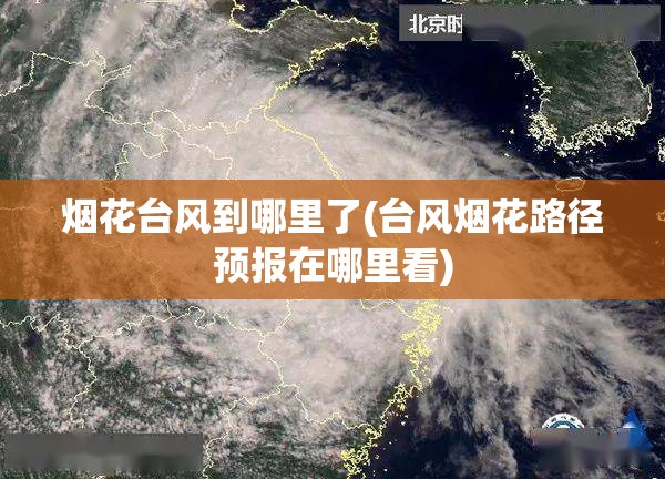 烟花台风到哪里了(台风烟花路径预报在哪里看)