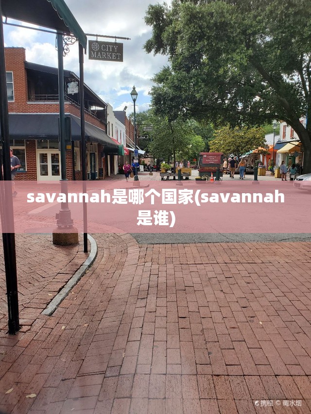 savannah是哪个国家(savannah是谁)