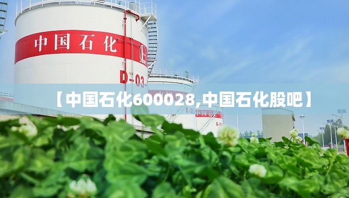 【中国石化600028,中国石化股吧】