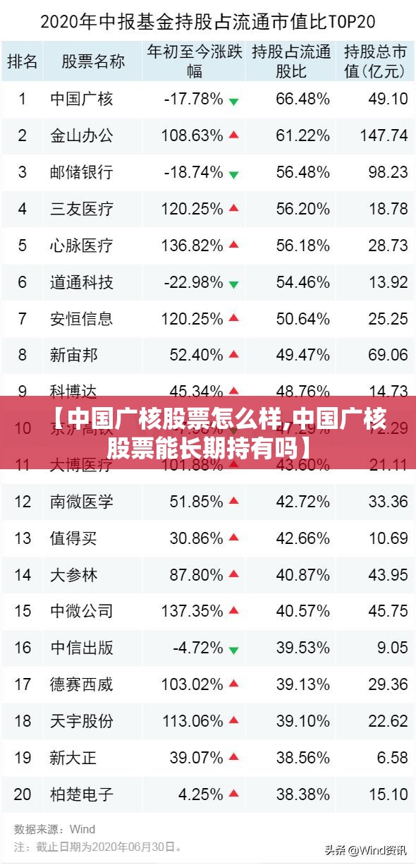【中国广核股票怎么样,中国广核股票能长期持有吗】