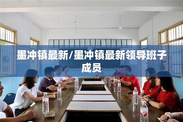 墨冲镇最新/墨冲镇最新领导班子成员