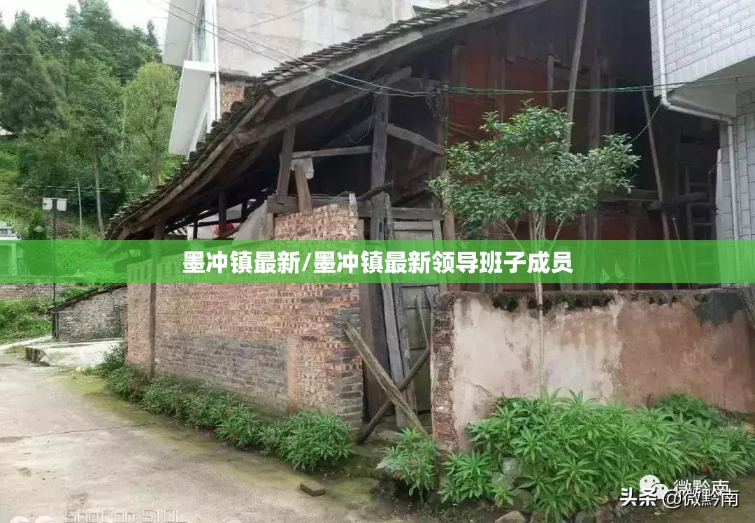 墨冲镇最新/墨冲镇最新领导班子成员