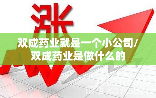 双成药业就是一个小公司/双成药业是做什么的 双成药业就是一个小公司/双成药业是做什么的