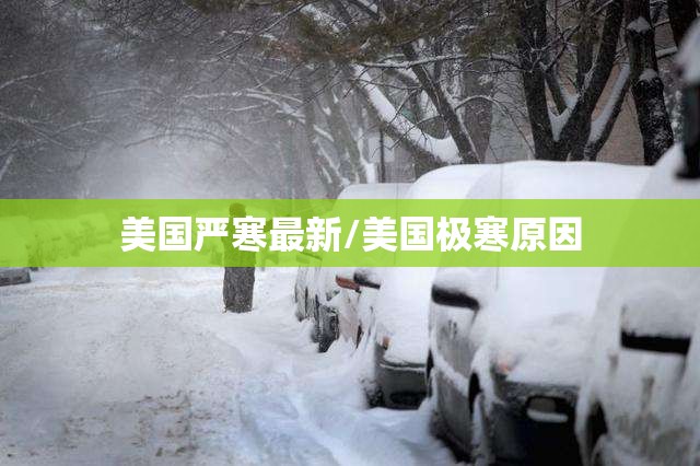 美国严寒最新/美国极寒原因