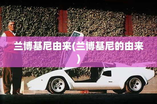 兰博基尼由来(兰博基尼的由来)