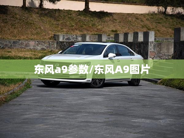 东风a9参数/东风A9图片