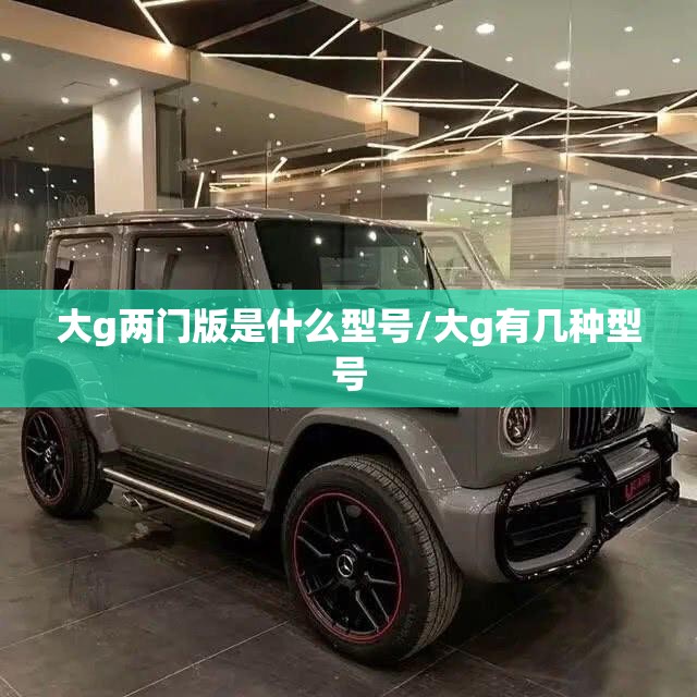 大g两门版是什么型号/大g有几种型号