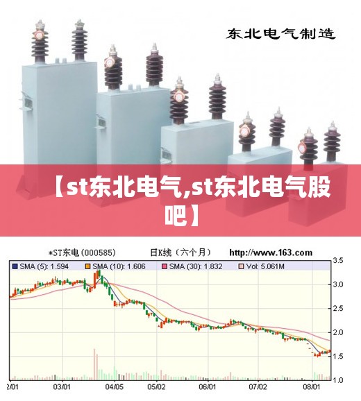 【st东北电气,st东北电气股吧】