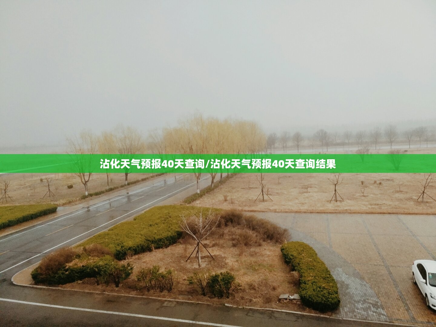 沾化天气预报40天查询/沾化天气预报40天查询结果 沾化天气预报40天查询/沾化天气预报40天查询结果