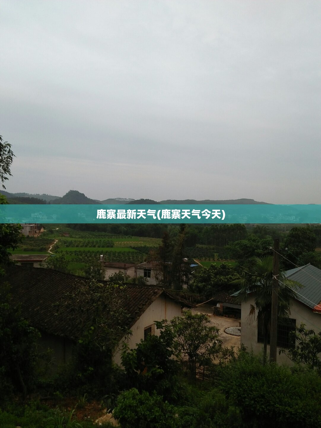 鹿寨最新天气(鹿寨天气今天)