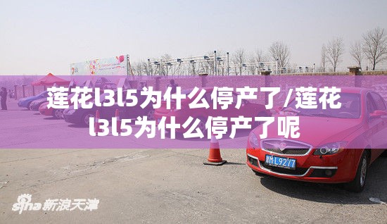 莲花l3l5为什么停产了/莲花l3l5为什么停产了呢