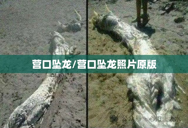 营口坠龙/营口坠龙照片原版