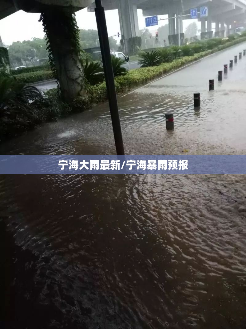宁海大雨最新/宁海暴雨预报