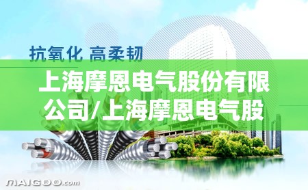 上海摩恩电气股份有限公司/上海摩恩电气股份有限公司属于什么企业