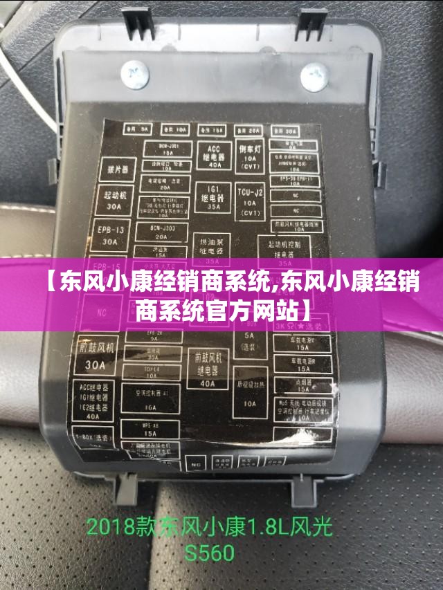 【东风小康经销商系统,东风小康经销商系统官方网站】