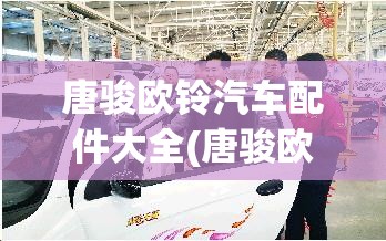 唐骏欧铃汽车配件大全(唐骏欧铃自卸车) 唐骏欧铃汽车配件大全(唐骏欧铃自卸车)