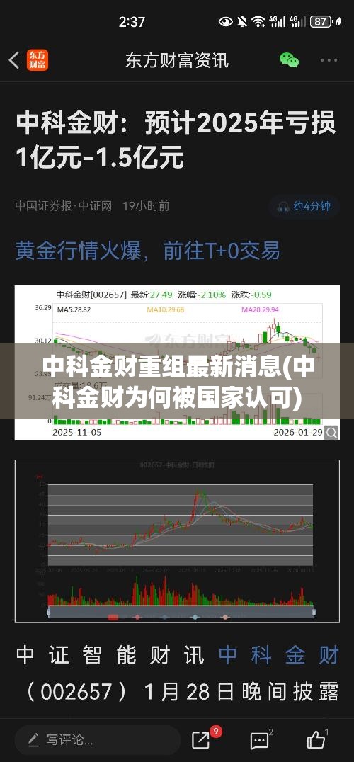 中科金财重组最新消息(中科金财为何被国家认可)