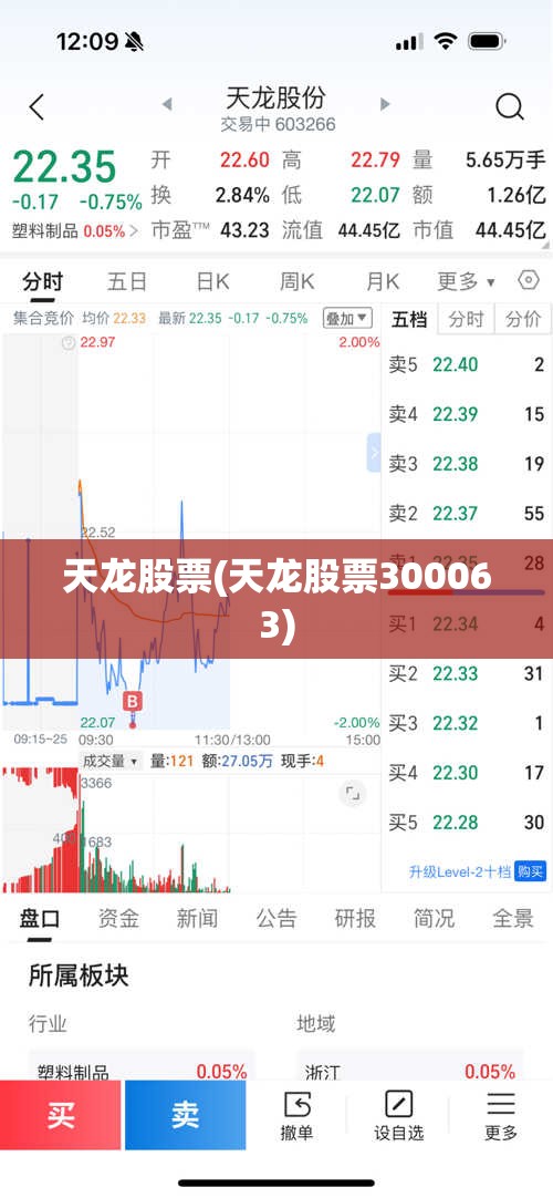 天龙股票(天龙股票300063)