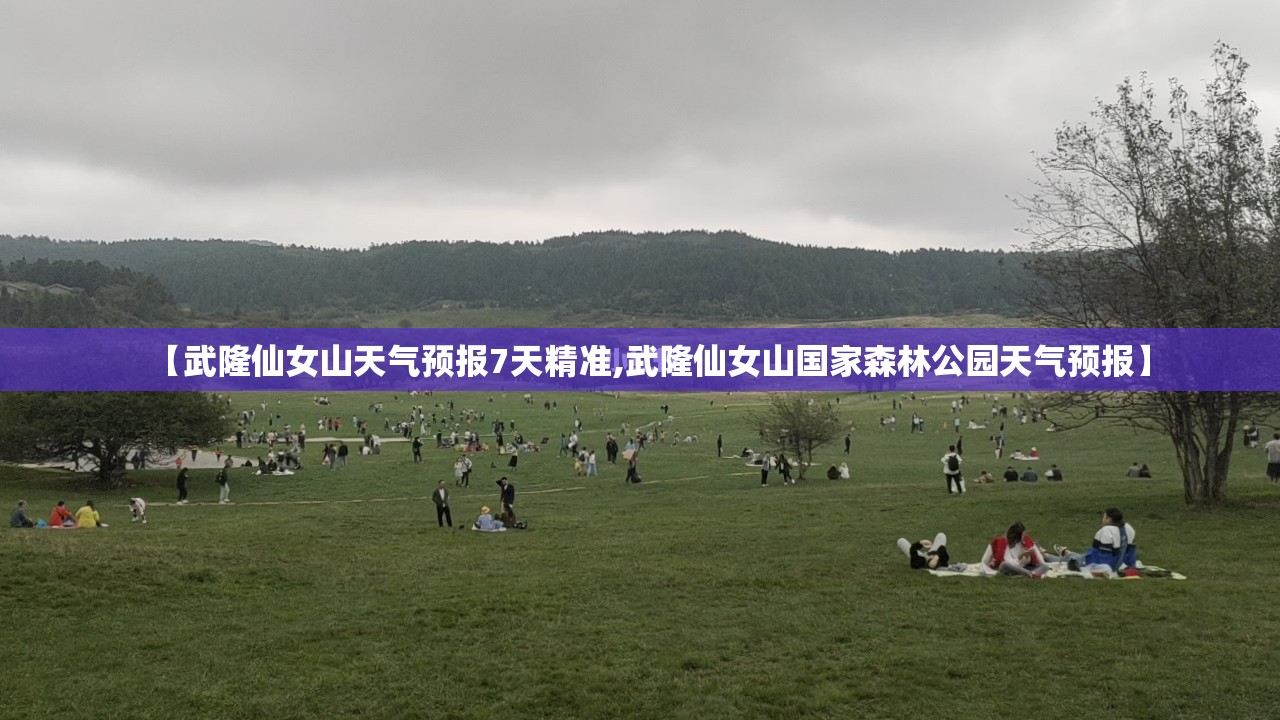 【武隆仙女山天气预报7天精准,武隆仙女山国家森林公园天气预报】