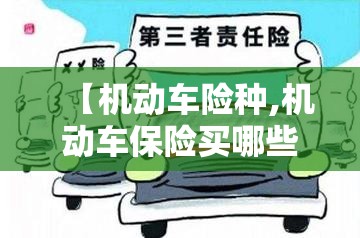 【机动车险种,机动车保险买哪些险种就好了】