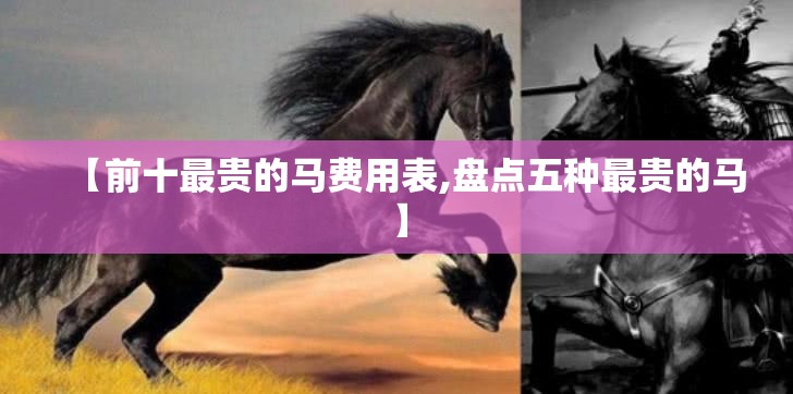 【前十最贵的马费用表,盘点五种最贵的马】