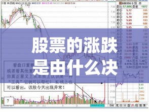 股票的涨跌是由什么决定(股票的涨跌是根据什么来计算的)