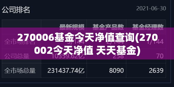 270006基金今天净值查询(270002今天净值 天天基金)
