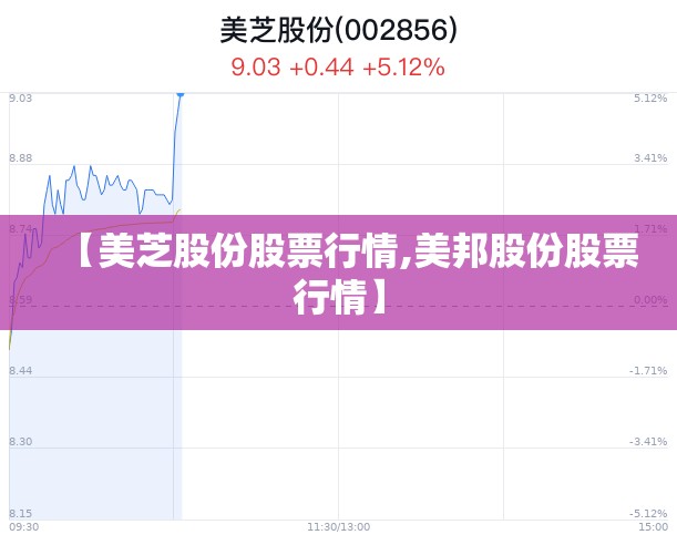 【美芝股份股票行情,美邦股份股票行情】