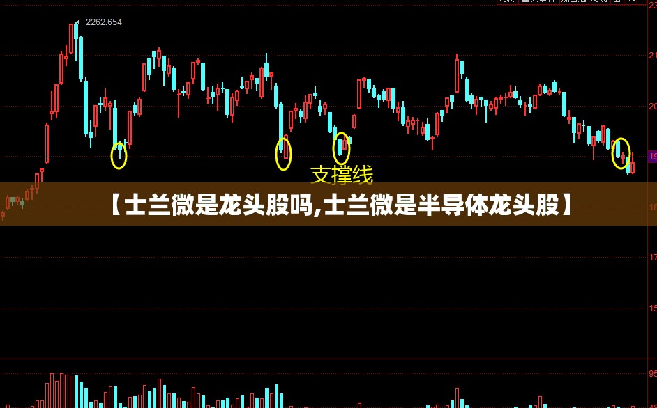 【士兰微是龙头股吗,士兰微是半导体龙头股】