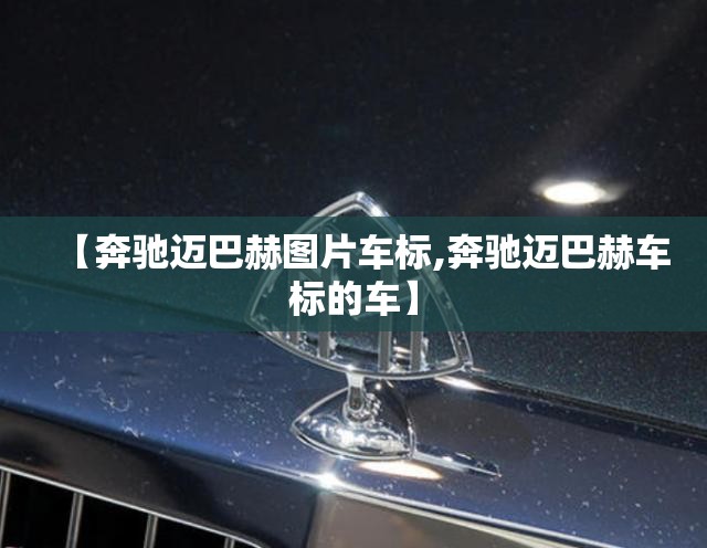 【奔驰迈巴赫图片车标,奔驰迈巴赫车标的车】