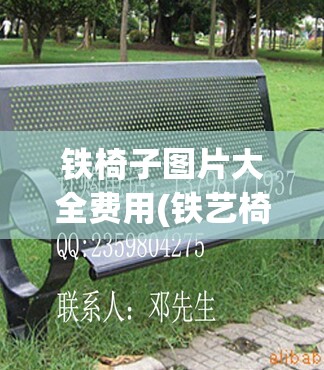 铁椅子图片大全费用(铁艺椅子图片大全)